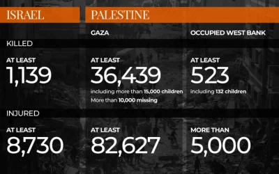 Israel’s war on Gaza in numbers