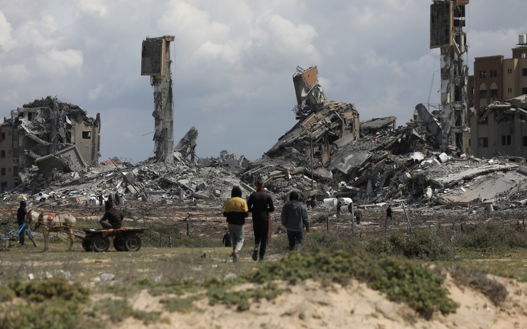 Euro-Med: Israel destroyed 75 percent of Gaza’s cropland