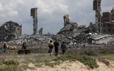 Euro-Med: Israel destroyed 75 percent of Gaza’s cropland