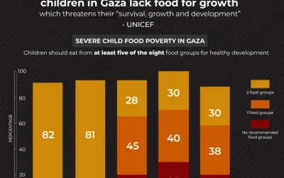‘My children are starving to death’