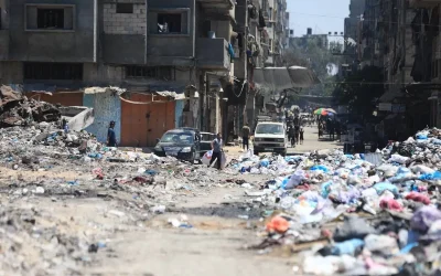 WHO sends over 1m polio vaccines to Gaza