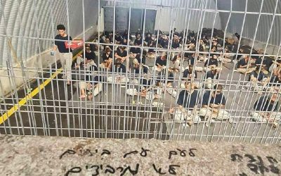 Day 292 of genocide: Israeli forces kill Palestinians in several Gaza areas