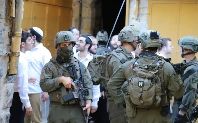 Israel settler violence in West Bank has caused ‘largest forcible transfer’ of Palestinians since 7 October – rights group