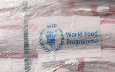 New Zealand to provide another $5M to World Food Program, UNICEF for Gaza
