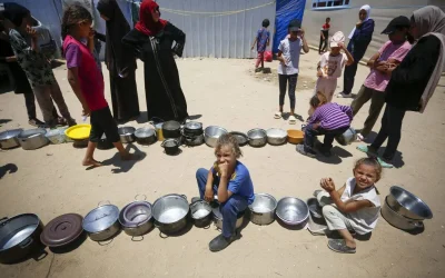 WFP reduces food parcels in Gaza due to Israel’s bombing