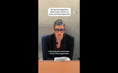 UN expert: Israel has committed genocide in Gaza, calls for arms embargo