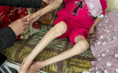Israel sending more children ‘to their graves’ after denying food aid to northern Gaza