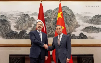 China, Turkiye should strengthen cooperation for lasting solution to Palestine: diplomat says
