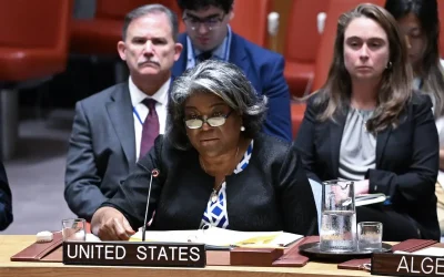 ‘We use our veto to promote interests of US government’ says American envoy to UN