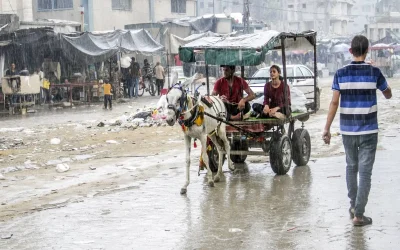 Gaza economy shrinks to less than a sixth of its pre-war size, UN report says