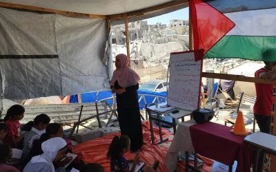 Palestine sees 85% drop in illiteracy rates in last 2 decades
