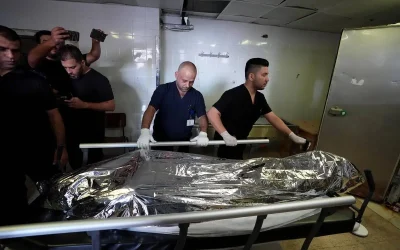 FACTBOX – 14 most prominent foreign activists killed by Israel over last 2 decades