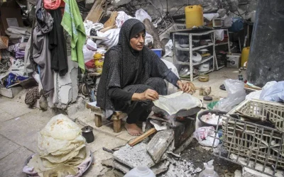 UNRWA warns of health risks as insects, rodents spread in Gaza
