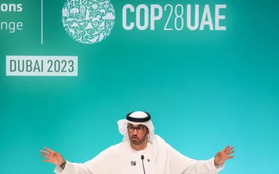 UAE to unveil national climate plan under Paris pact before COP29