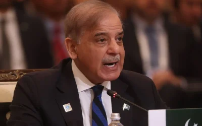 Pakistan PM urges Security Council to punish Israel for Gaza genocide