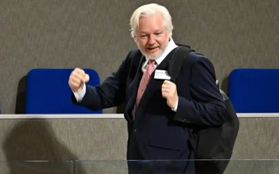 Julian Assange declared ‘political prisoner’ by Council of Europe