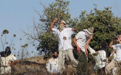 Israeli settlers attack Palestinian farmers while picking olives near Nablus